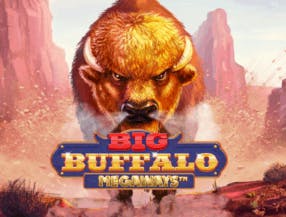 game logo by Skywind Group on trickzzcasino.fr